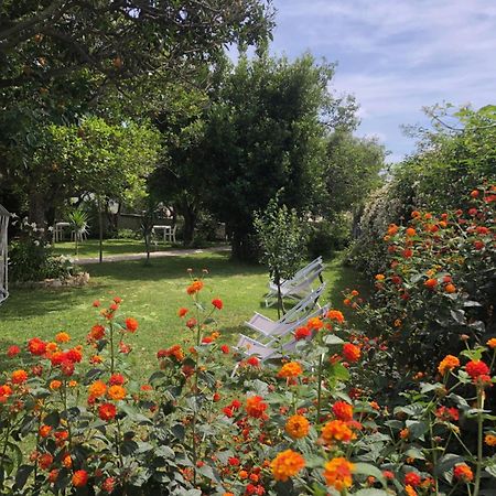 Villa Caterina B&B Procida Luaran gambar